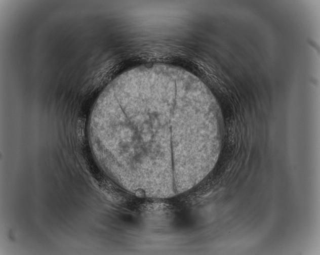 X0000096960695200802291121