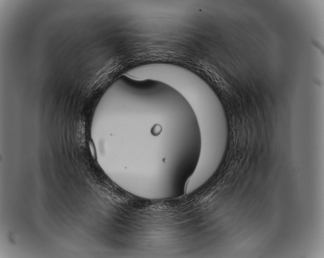 X0000096960696200802291121