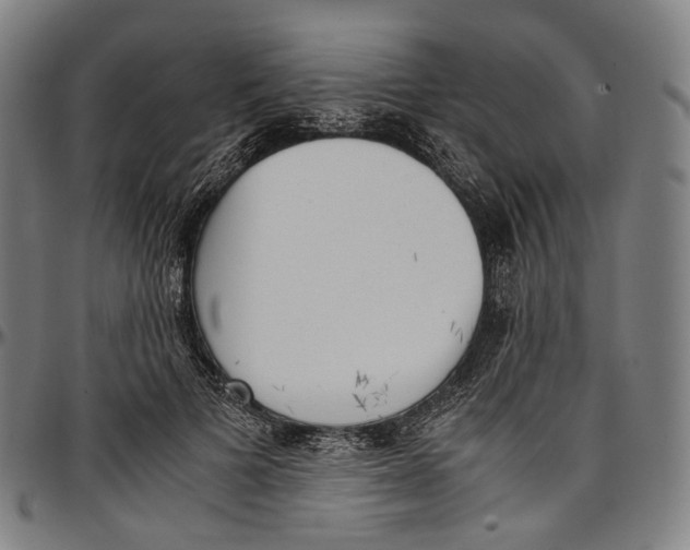 X0000096960697200802291121