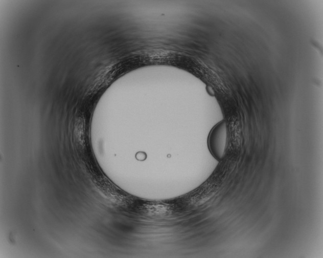 X0000096960698200802291121