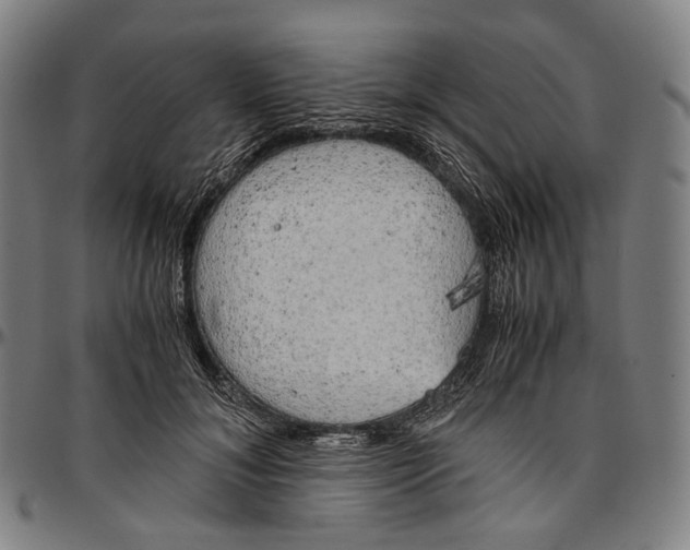 X0000096960700200802291121