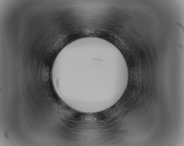 X0000096960702200802291121