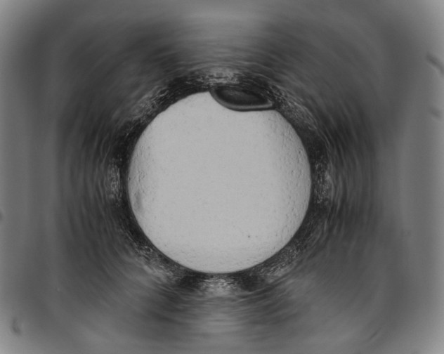 X0000096960704200802291121