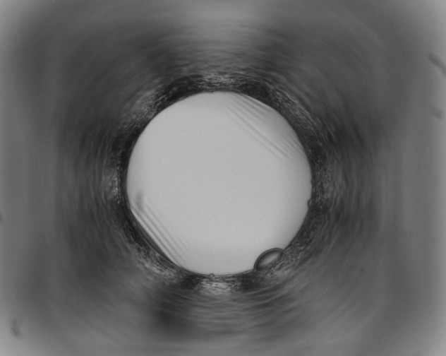 X0000096960706200802291121