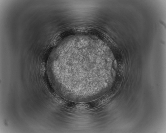 X0000096960707200802291121