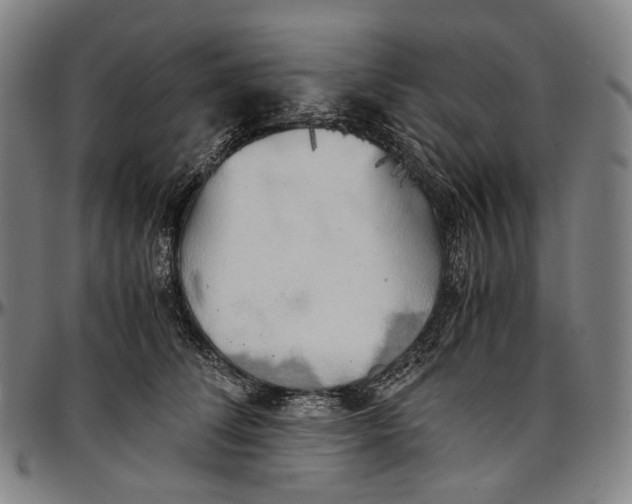 X0000096960708200802291121