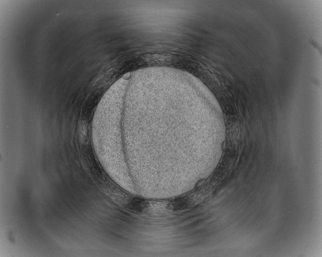 X0000096960709200802291121