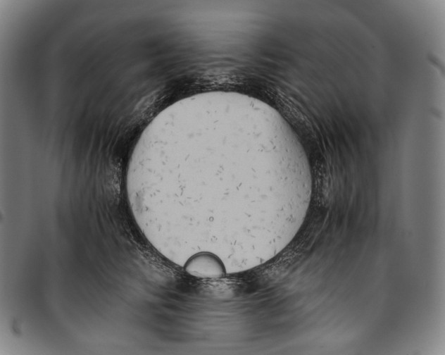 X0000096960710200802291121