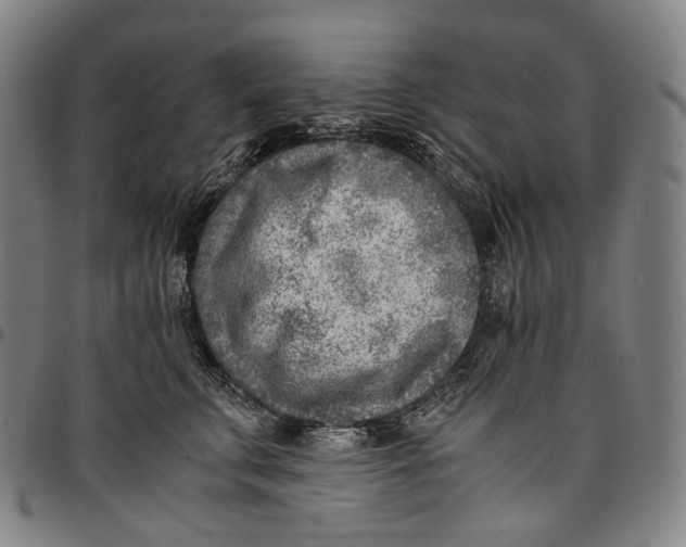 X0000096960711200802291121