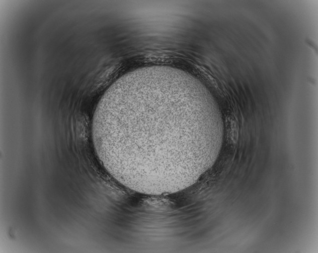 X0000096960712200802291121