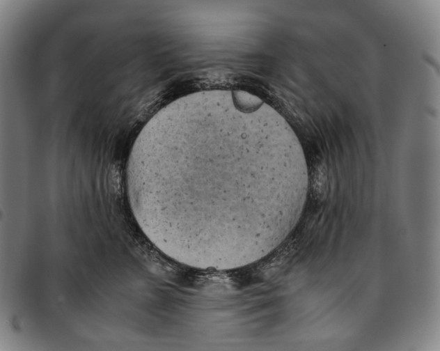 X0000096960715200802291121