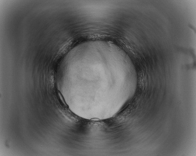 X0000096960716200802291121