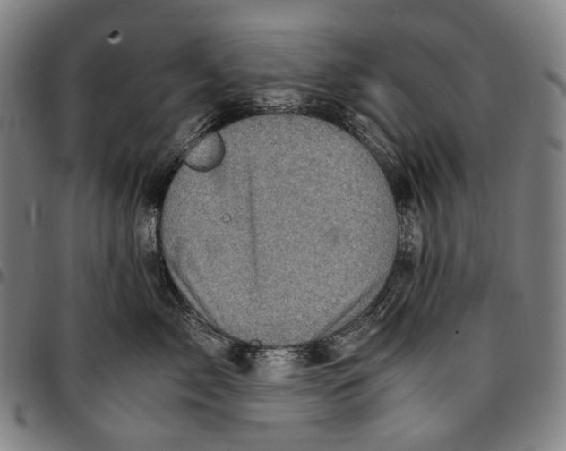 X0000096960717200802291121