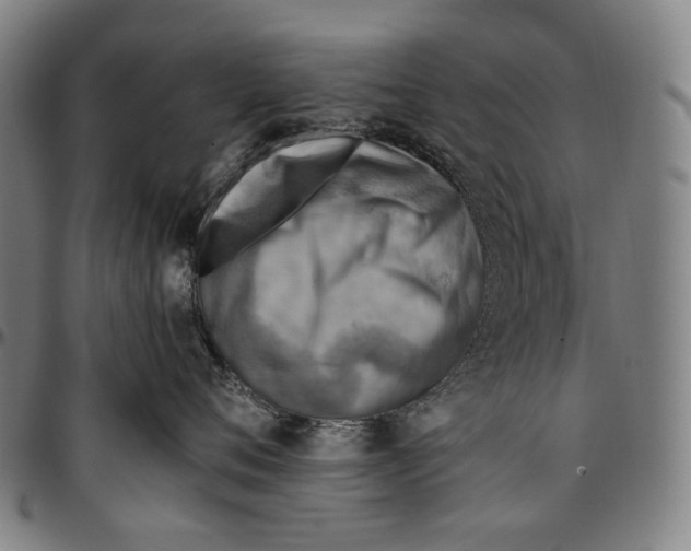 X0000096960720200802291121