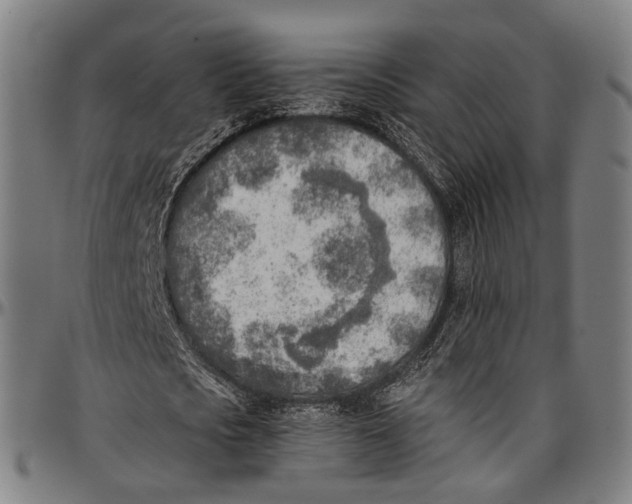 X0000096960721200802291120