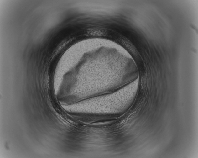 X0000096960722200802291120