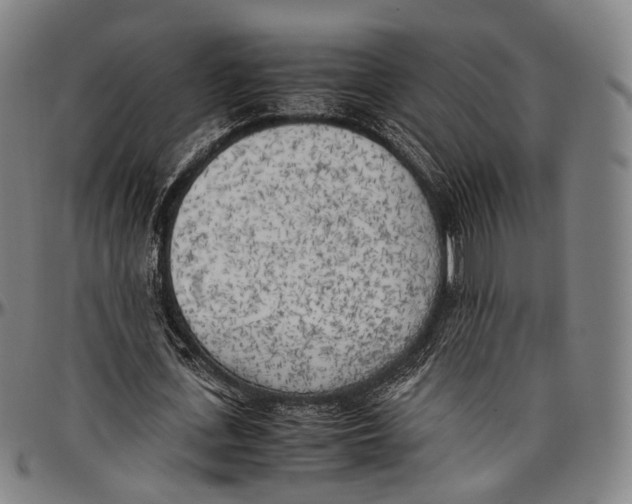 X0000096960723200802291120