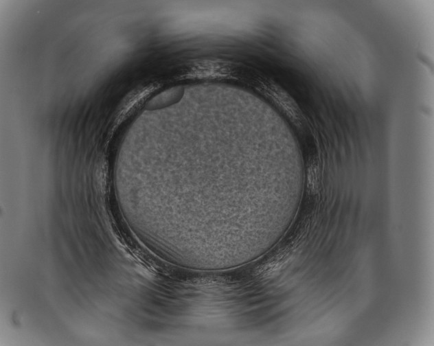 X0000096960724200802291120