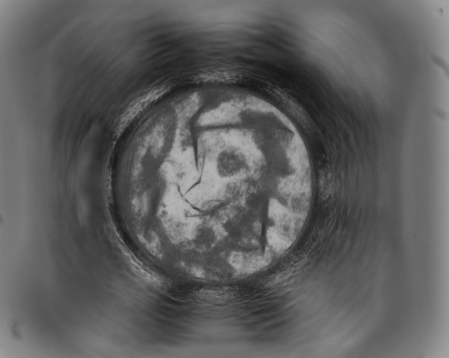 X0000096960725200802291120