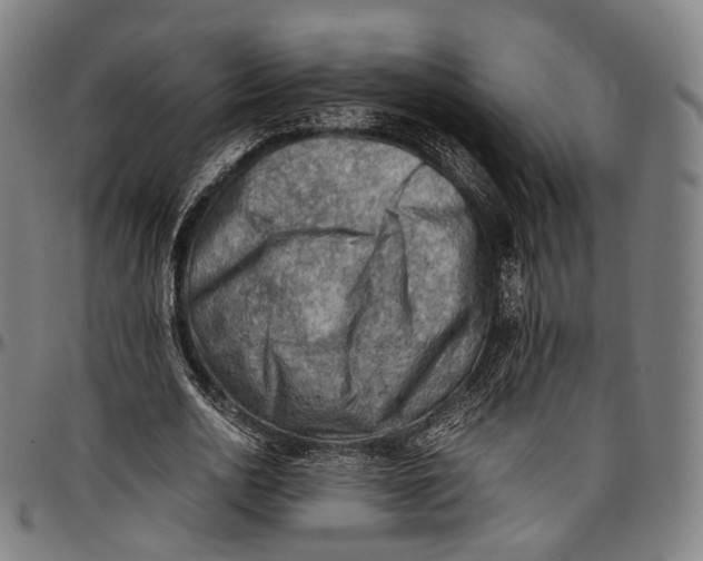 X0000096960726200802291120