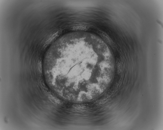 X0000096960729200802291120