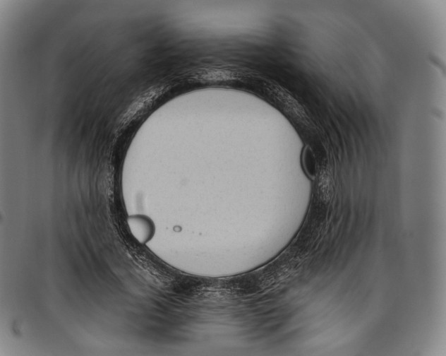 X0000096960732200802291120