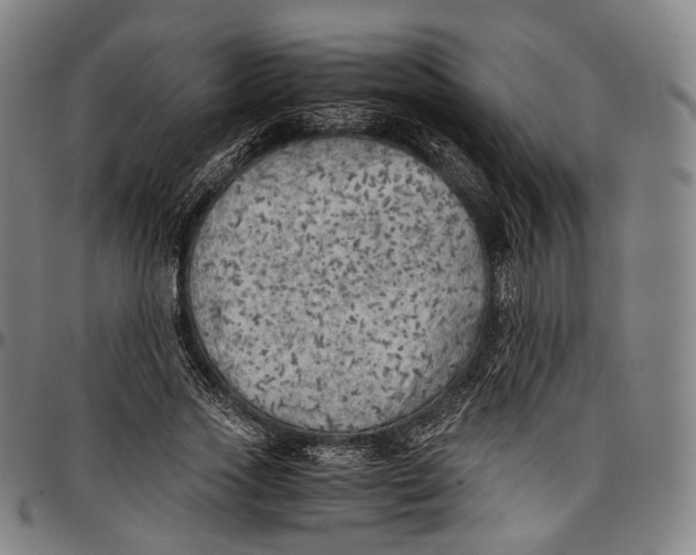 X0000096960733200802291120