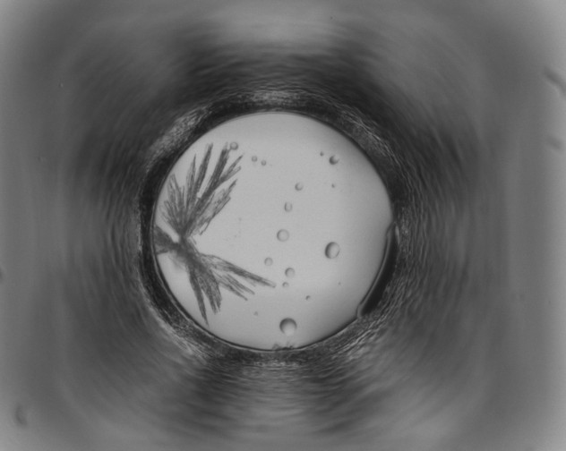 X0000096960734200802291120