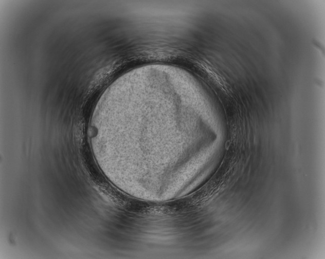 X0000096960736200802291120