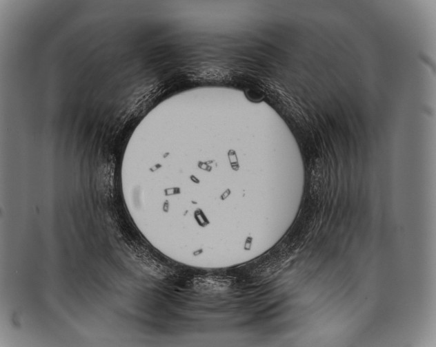 X0000096960739200802291120