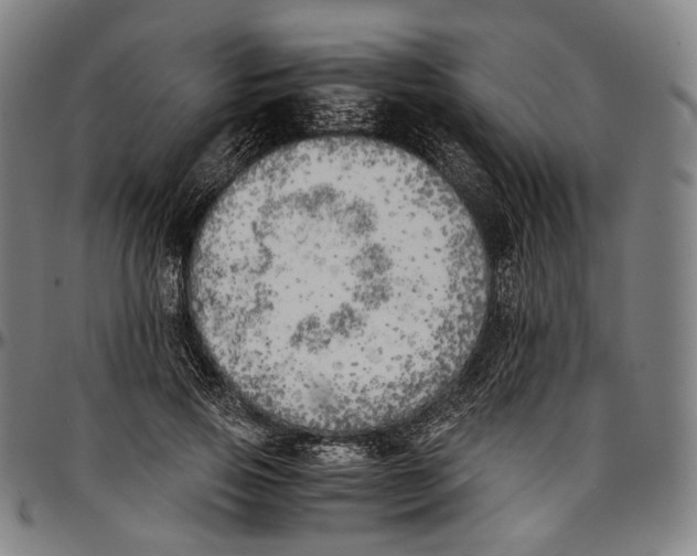 X0000096960741200802291121