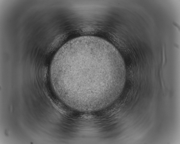 X0000096960742200802291121