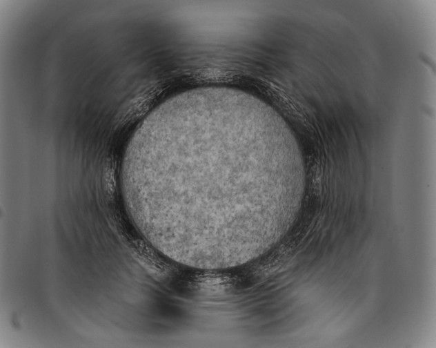 X0000096960746200802291121