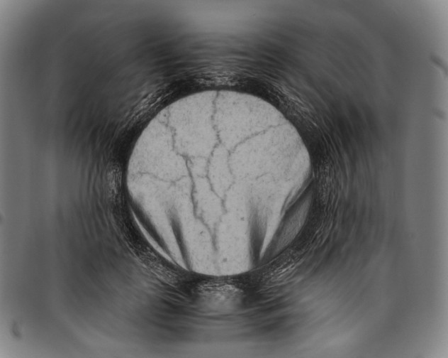 X0000096960747200802291121