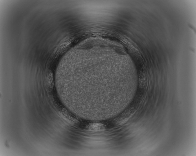 X0000096960748200802291121