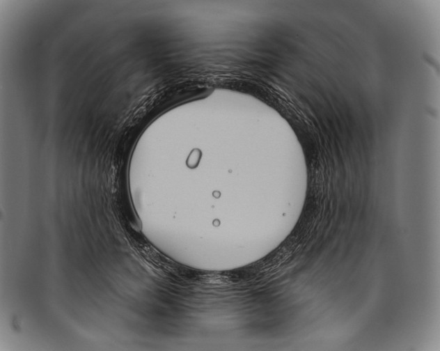 X0000096960750200802291121