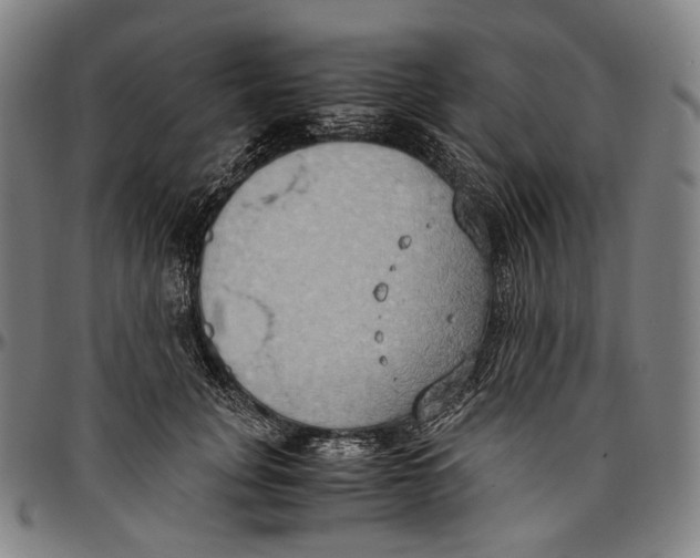 X0000096960751200802291121