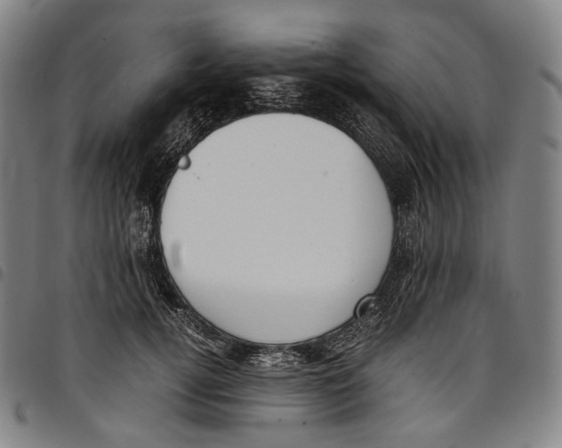 X0000096960752200802291121