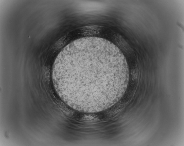 X0000096960753200802291121