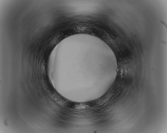 X0000096960754200802291121