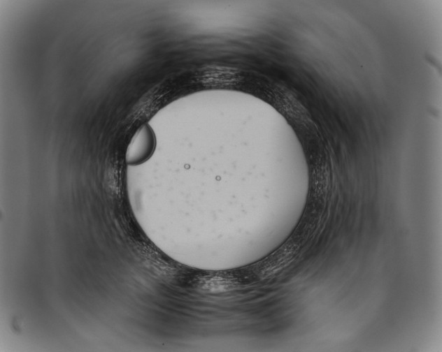 X0000096960755200802291121