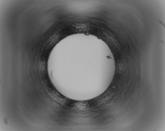 X0000096960756200802291121