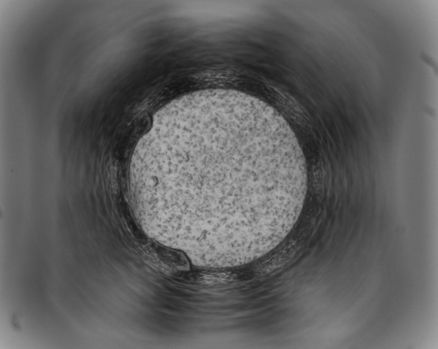 X0000096960757200802291121