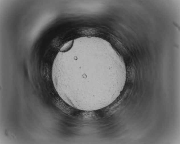 X0000096960762200802291121