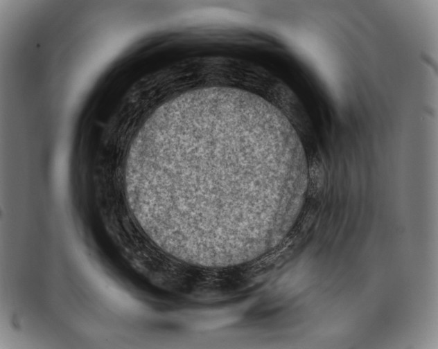 X0000096960765200802291121