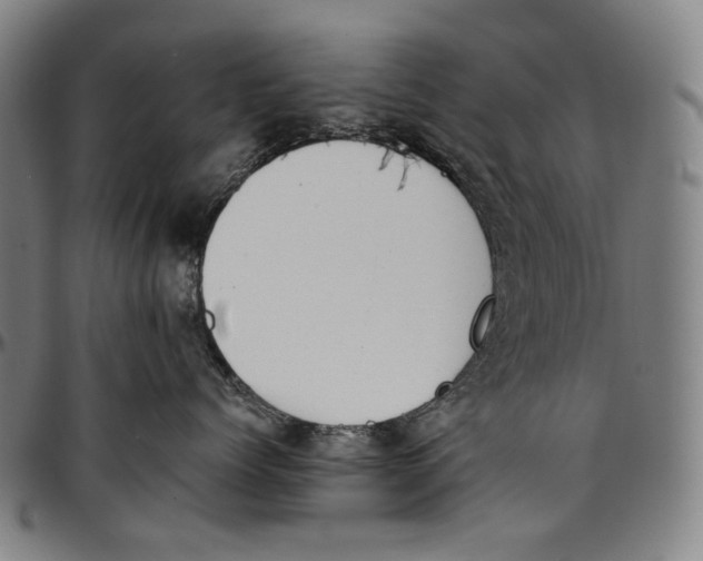 X0000096960768200802291121