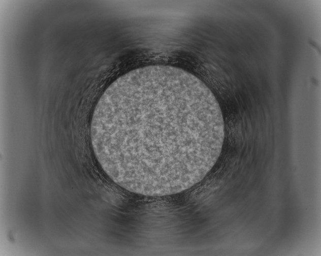 X0000096960769200802291120