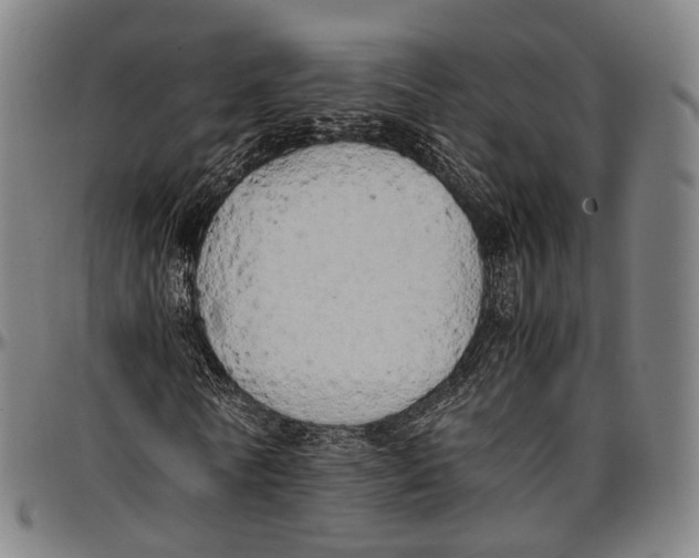 X0000096960770200802291120