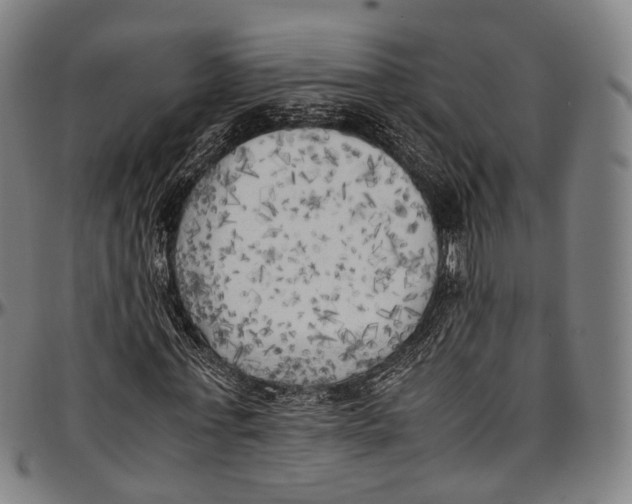 X0000096960771200802291120