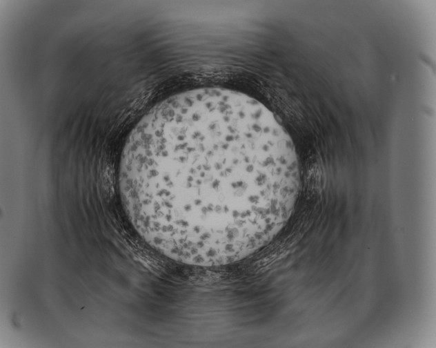 X0000096960772200802291120